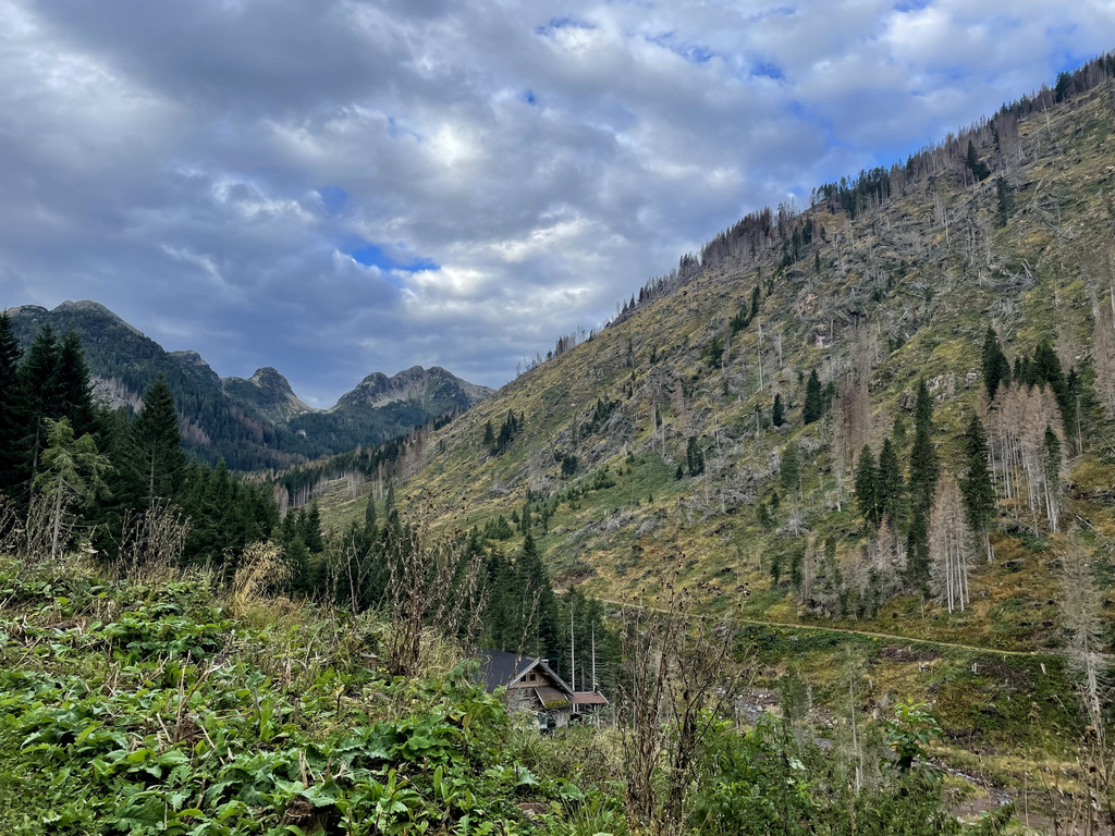 Die Landschaft während der Fahrt hinauf auf den Manghen